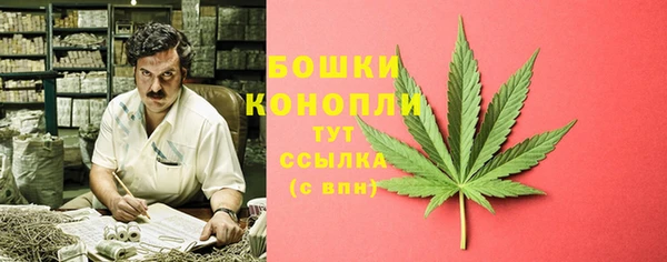 не бодяженный Каменногорск
