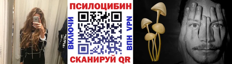 Купить где  Куровское  Галлюциногенные грибы MAGIC MUSHROOMS 